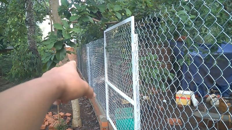 Ứng dụng lưới B40