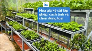Giá kệ sắt lắp ghép nhiều tầng bằng thanh thép đục lỗ bắt bu lông, đặt chậu rau trong nhà kính